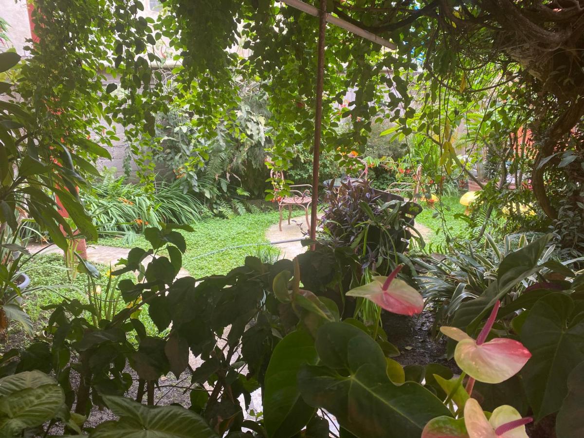 Hotel Flor De Cera à Tepoztlán Extérieur photo